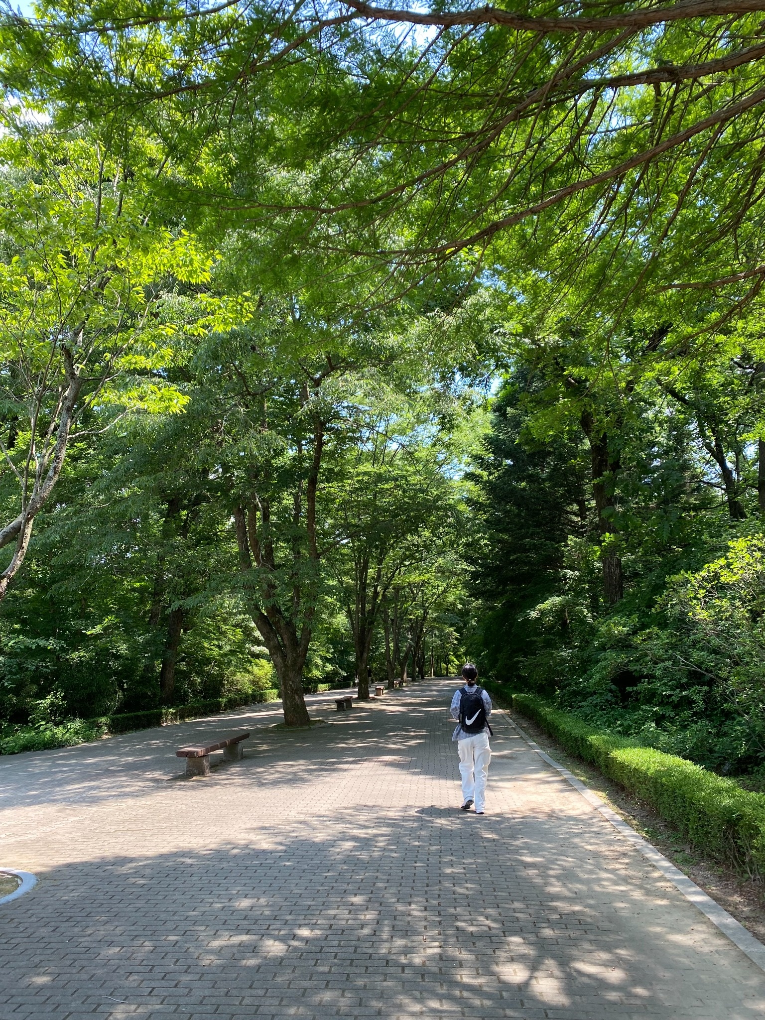 국립수목원